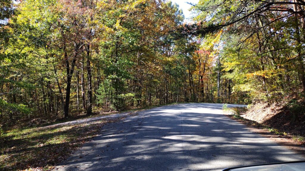 Scenery on Hickory Hollow 