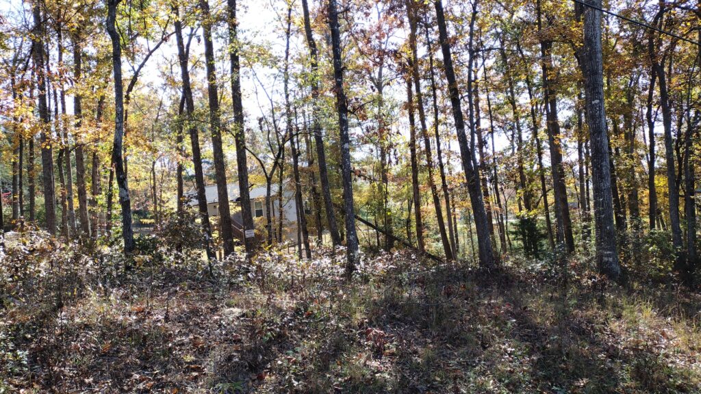 Scenery along Siever Road